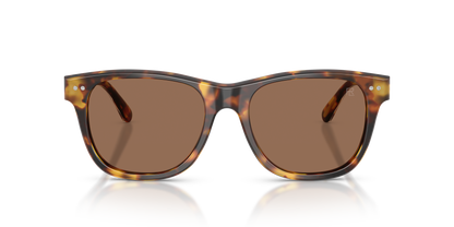 RALPH LAUREN RL8239U 513473 54