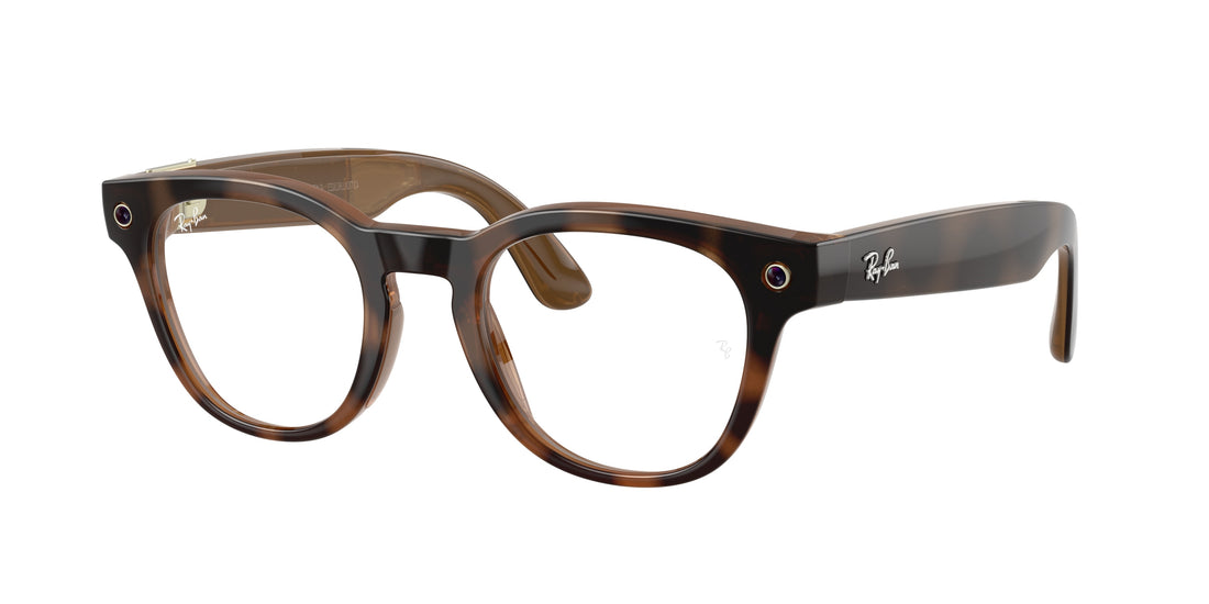 Brillen ray-ban meta rw7002 scriber optics 8528 carey pantos unisex größe 49mm - Hauptansicht
