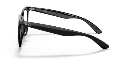 RAY-BAN RX4379VD 2000 53 - 21