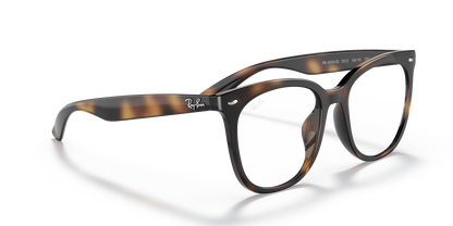 RAY-BAN RX4379VD 2012 53 - 5