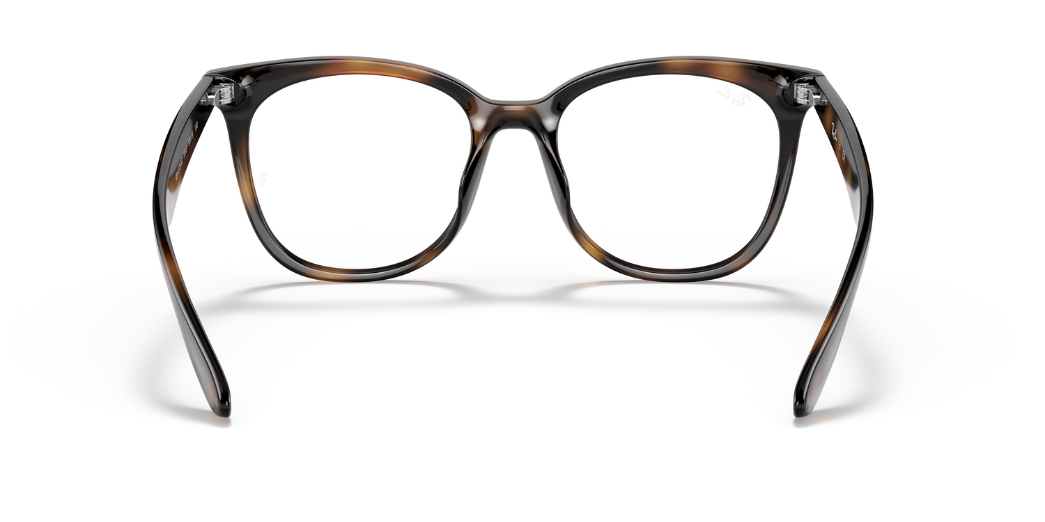 RAY-BAN RX4379VD 2012 53 - 21