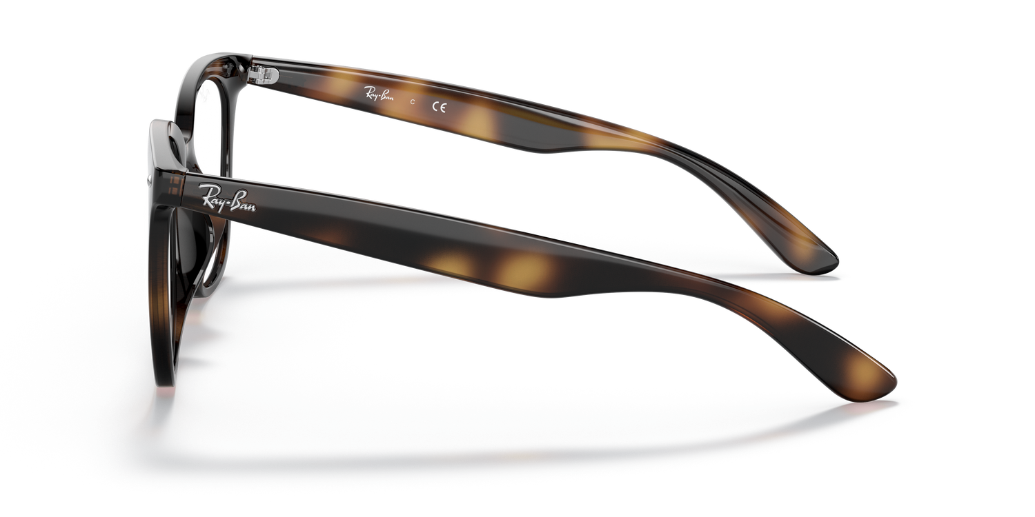 RAY-BAN RX4379VD 2012 53 - 3