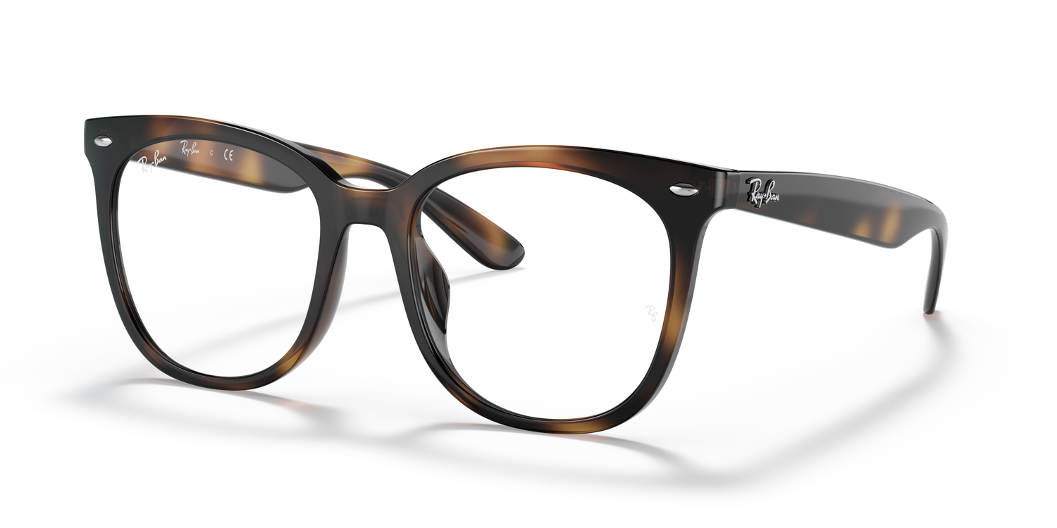 RAY-BAN RX4379VD 2012 53 - 8