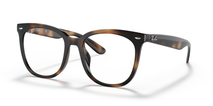 RAY-BAN RX4379VD 2012 53 - 8