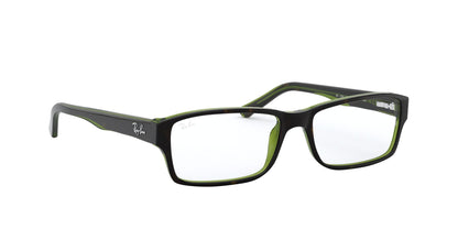 RAY-BAN RX5169 2383 54 - 24