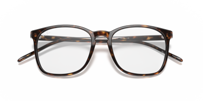 RAY-BAN RX5387 2012 54