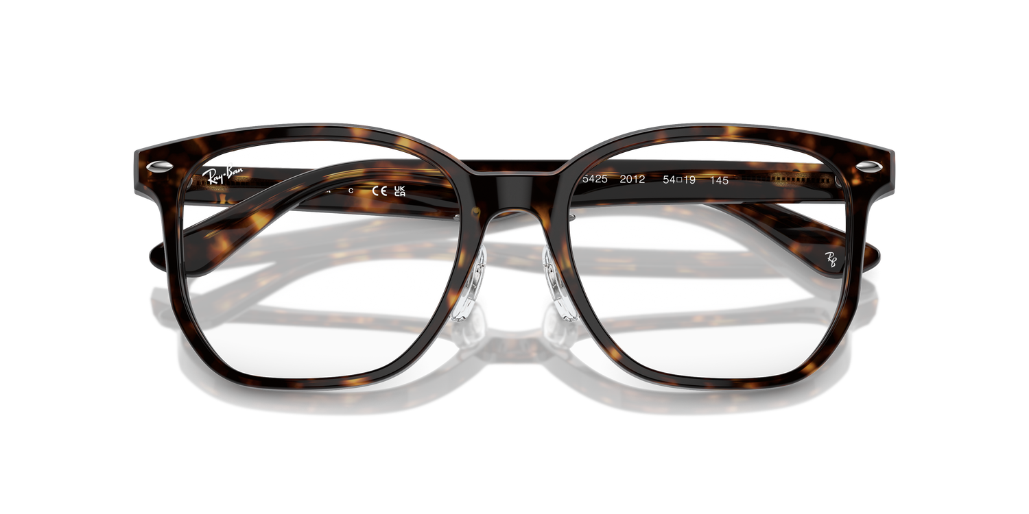 RAY-BAN RX5425D 2012 54