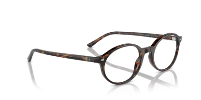 RAY-BAN RX5429 GERMAN 2012 51