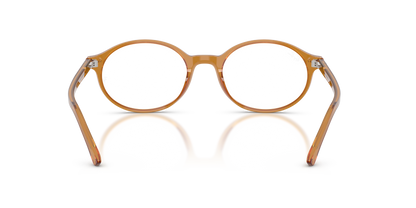 RAY-BAN RX5429 GERMAN 8439 53