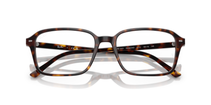 RAY-BAN RX5431 RAIMOND 2012 54