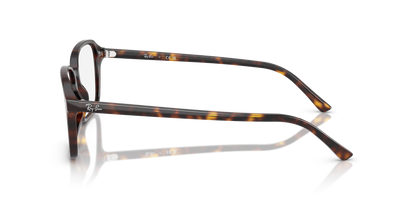 RAY-BAN RX5431 RAIMOND 2012 54