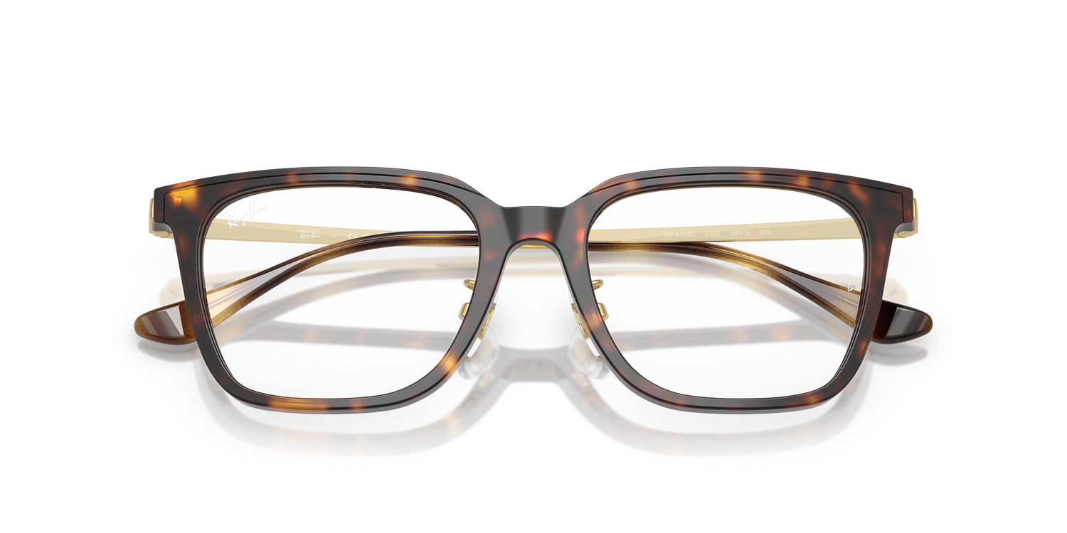 RAY-BAN RX5442D 2012 52