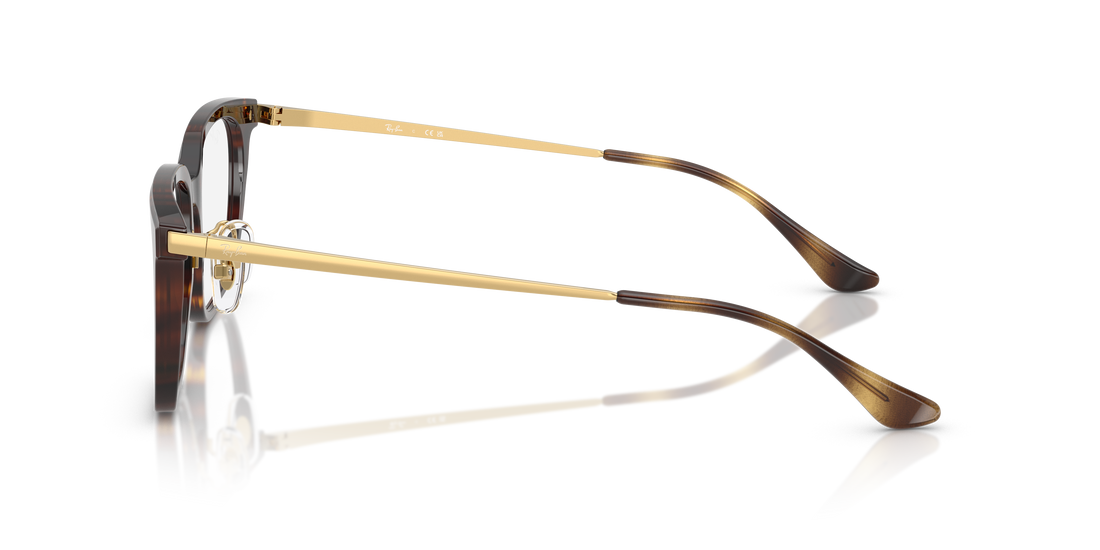 RAY-BAN RX5442D 2012 52