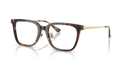 RAY-BAN RX5442D 2012 52