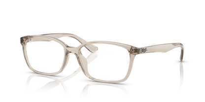 RAY-BAN RX7094D 8271 55