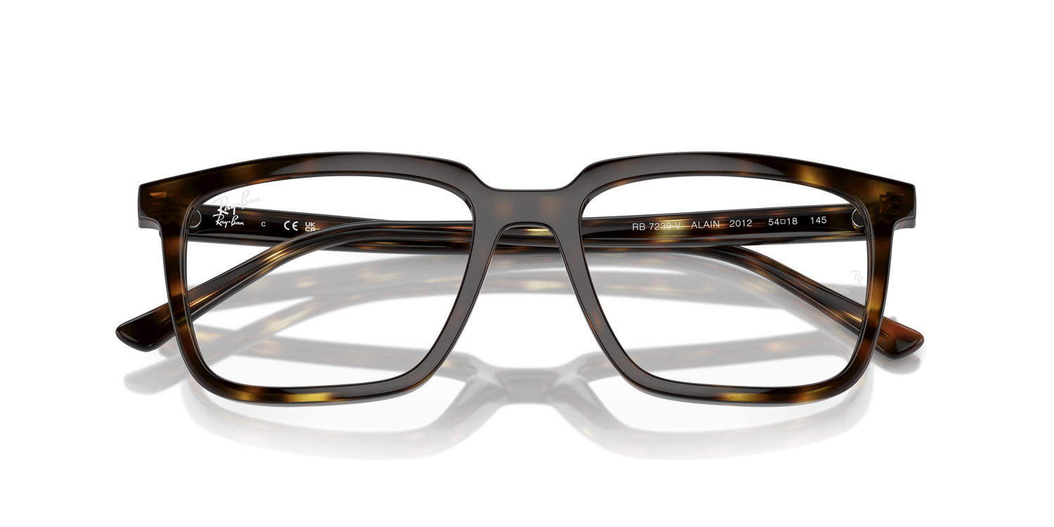 RAY-BAN RX7239 ALAIN 2012 52 - 19