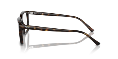 RAY-BAN RX7239 ALAIN 2012 52 - 15