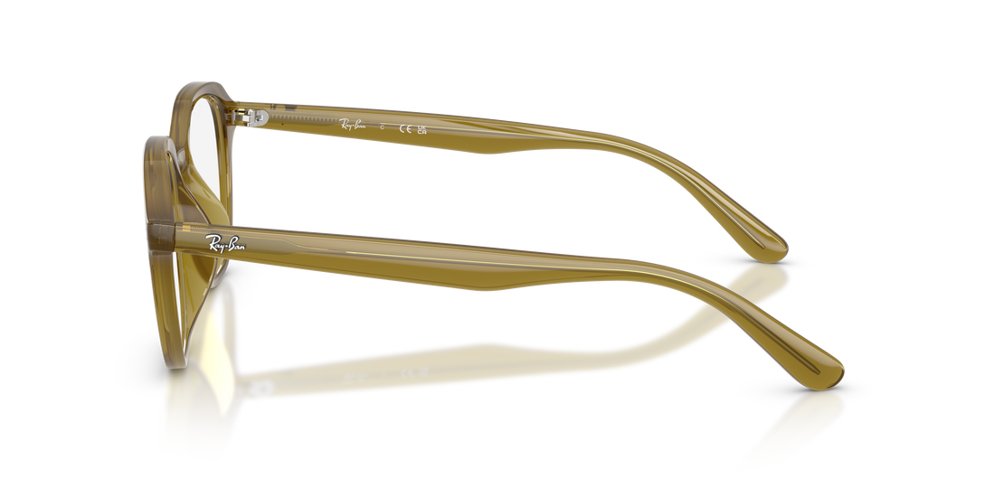 RAY-BAN RX7259D 8437 52