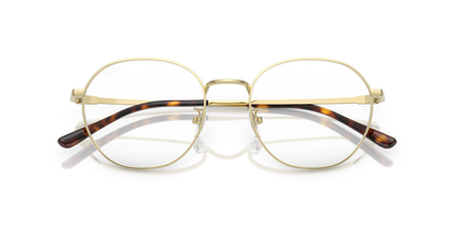 RAY-BAN RX8778D 1251 52