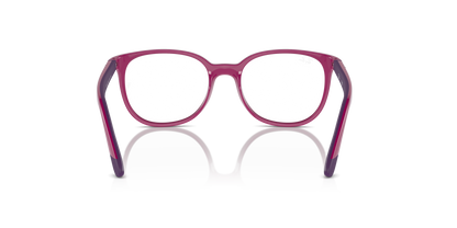 RAY-BAN JUNIOR RY1631 3933 47