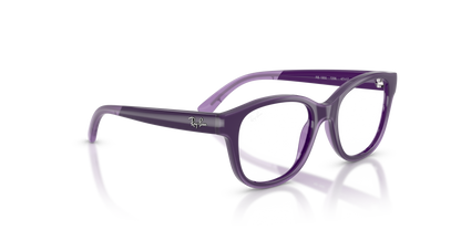 RAY-BAN JUNIOR RY1950 7206 46