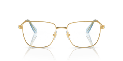 SWAROVSKI SK1003 4021 55