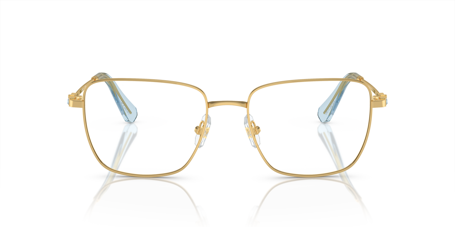 SWAROVSKI SK1003 4021 53