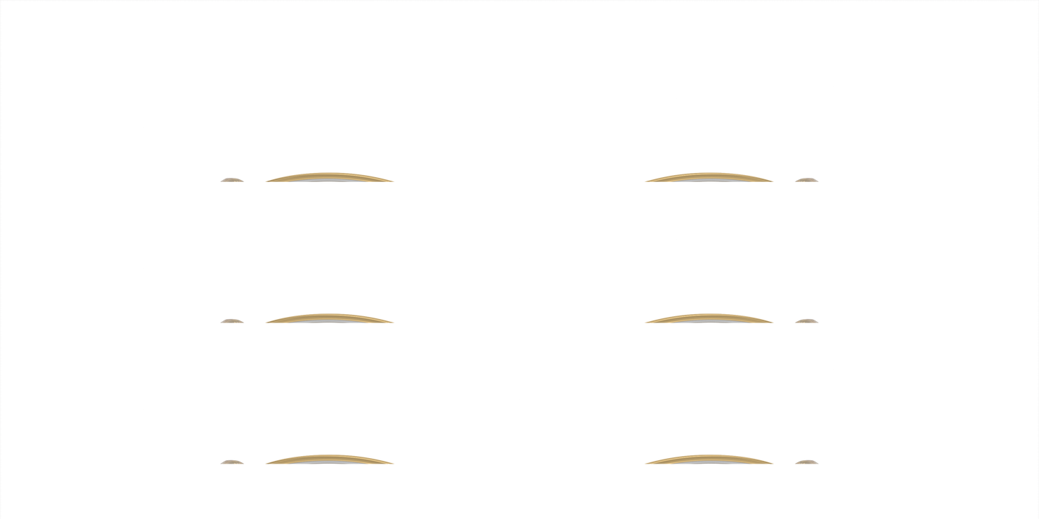 SWAROVSKI SK1004 4004 51