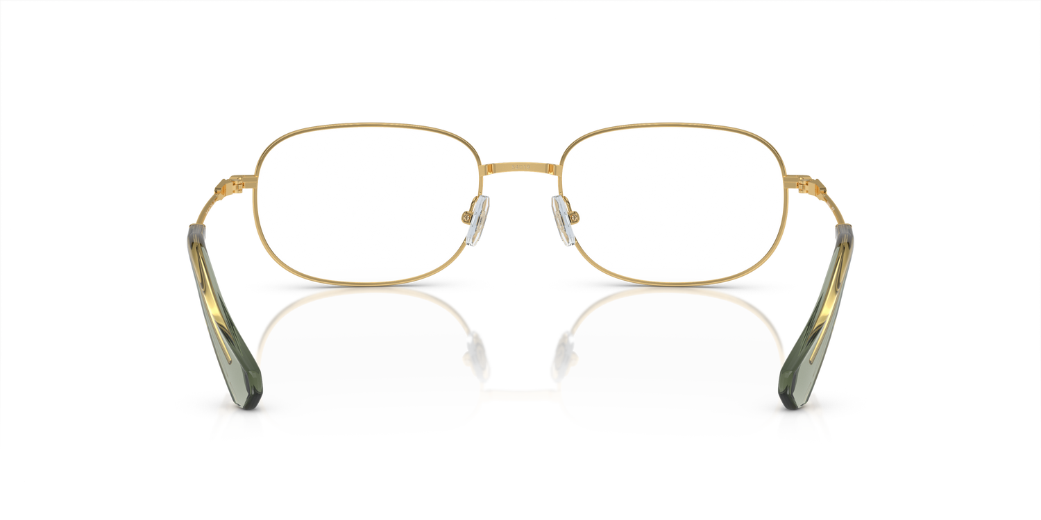 SWAROVSKI SK1005 4004 54