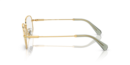 SWAROVSKI SK1005 4004 54