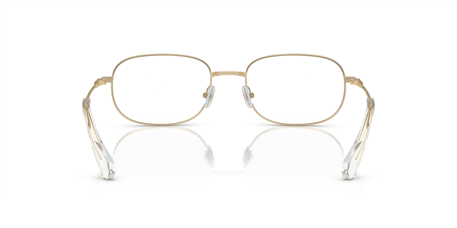 SWAROVSKI SK1005 4013 54