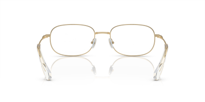 SWAROVSKI SK1005 4013 54