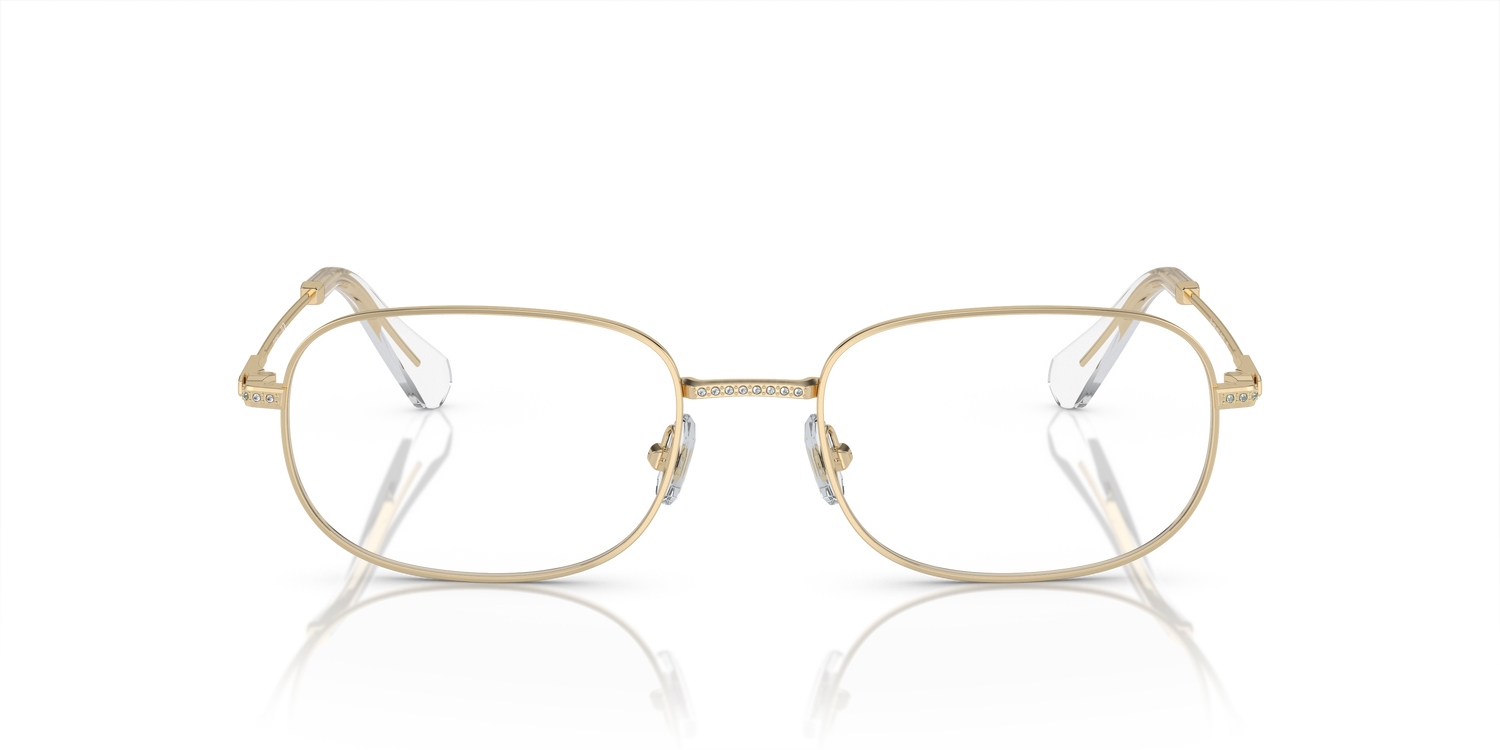 SWAROVSKI SK1005 4013 54