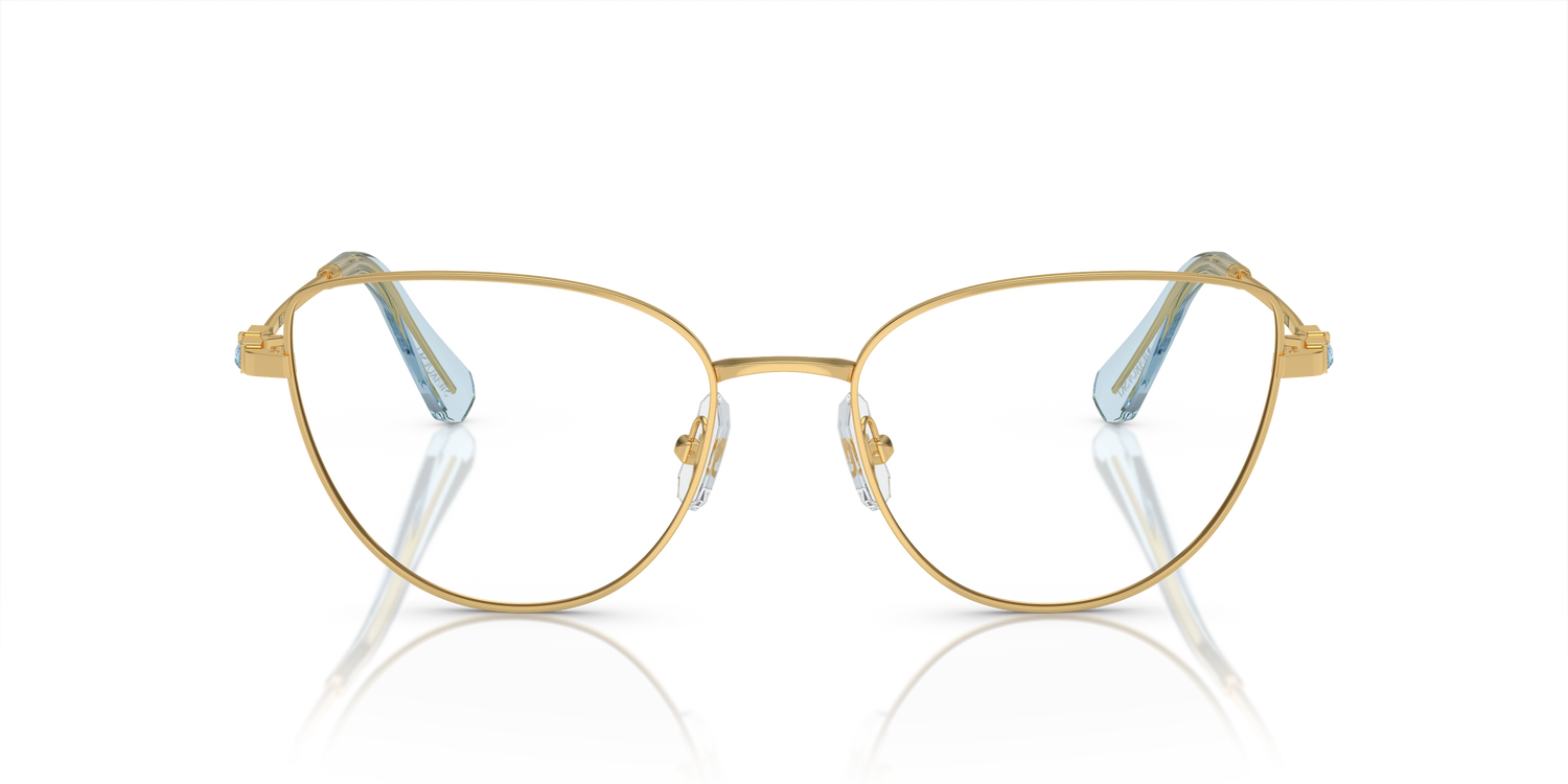 SWAROVSKI SK1007 4021 53