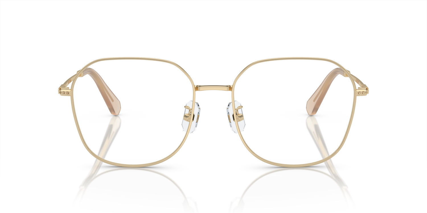 SWAROVSKI SK1009D 4013 58