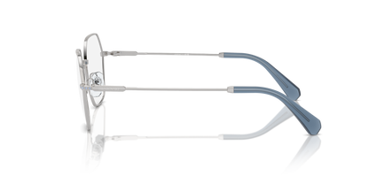 SWAROVSKI SK1011 4001 55