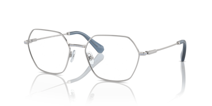 SWAROVSKI SK1011 4001 55