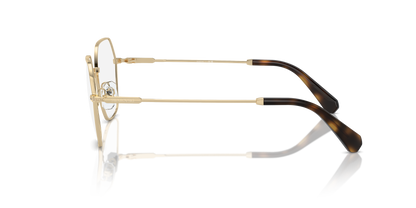 SWAROVSKI SK1011 4013 53