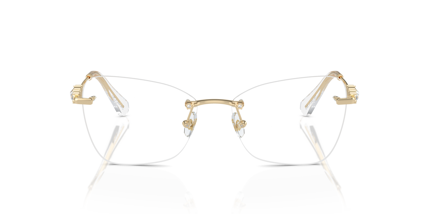 SWAROVSKI SK1014 4013 55