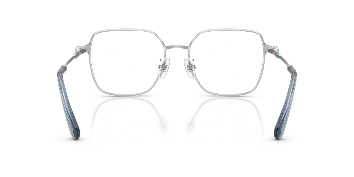 SWAROVSKI SK1020D 4020 53