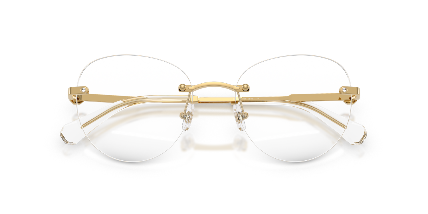 SWAROVSKI SK1021 4004 51