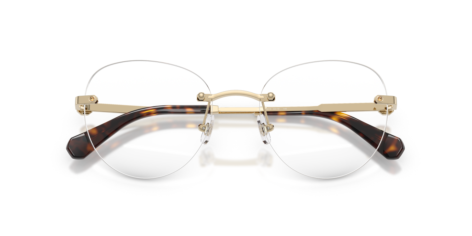 SWAROVSKI SK1021 4013 51