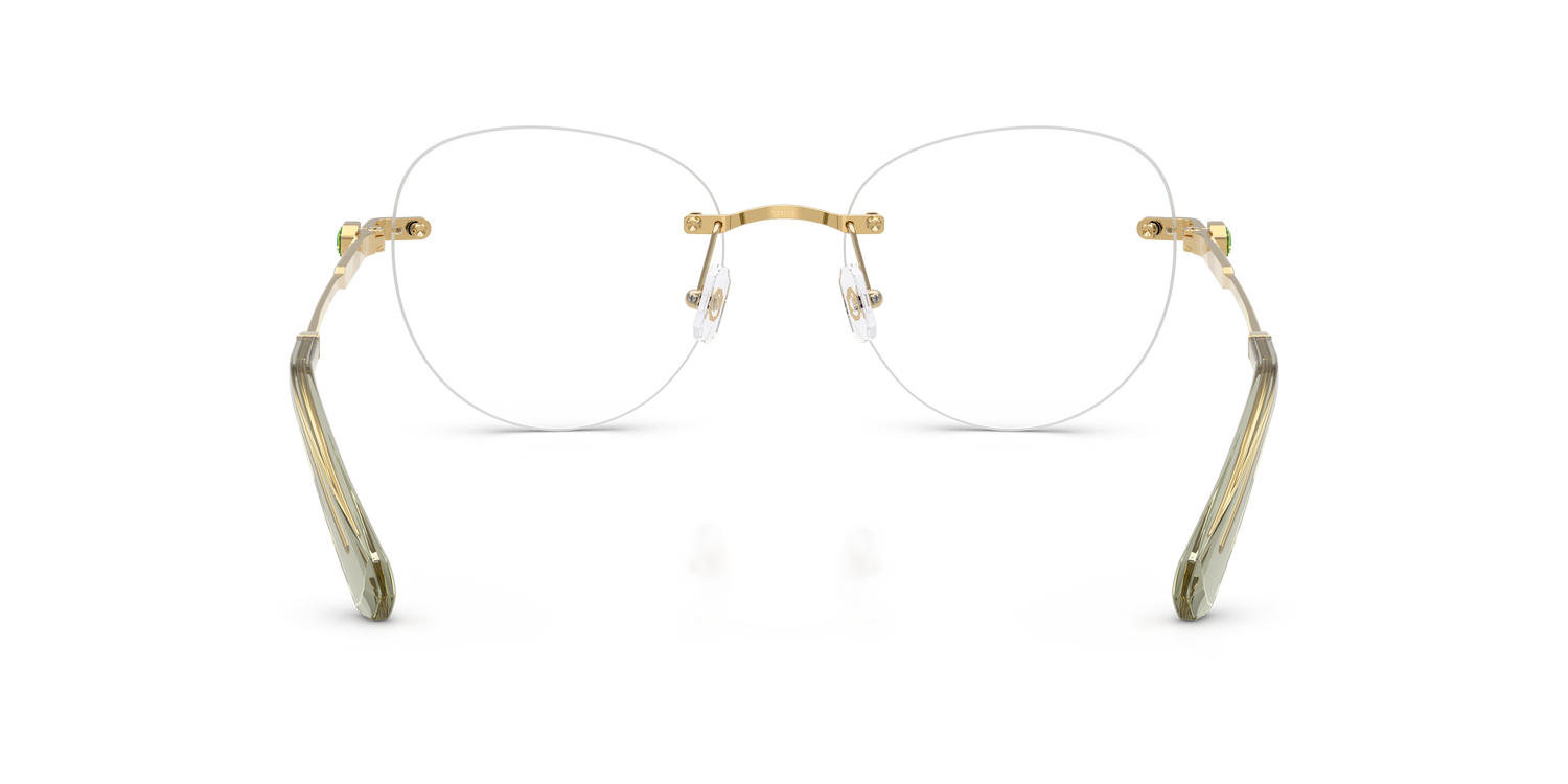 SWAROVSKI SK1021 4017 53