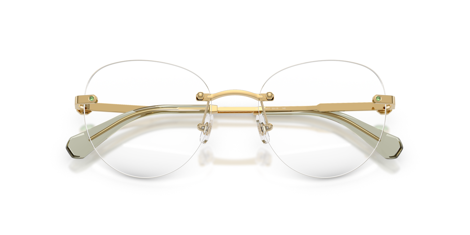 SWAROVSKI SK1021 4017 51