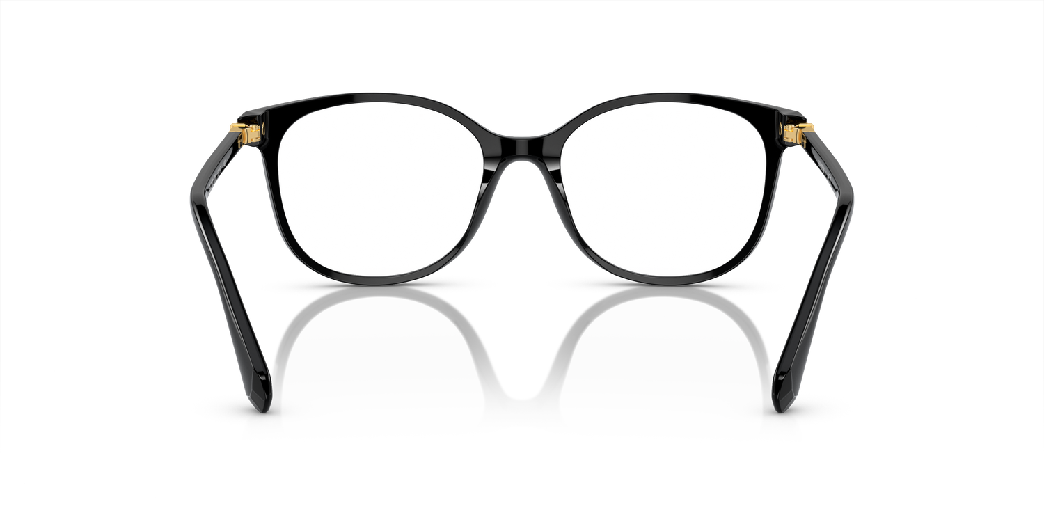 SWAROVSKI SK2002 1001 51