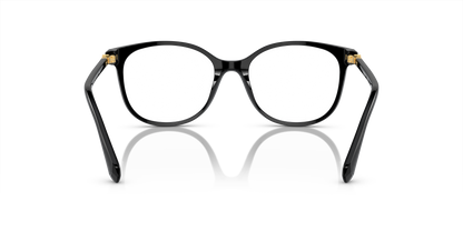 SWAROVSKI SK2002 1001 53