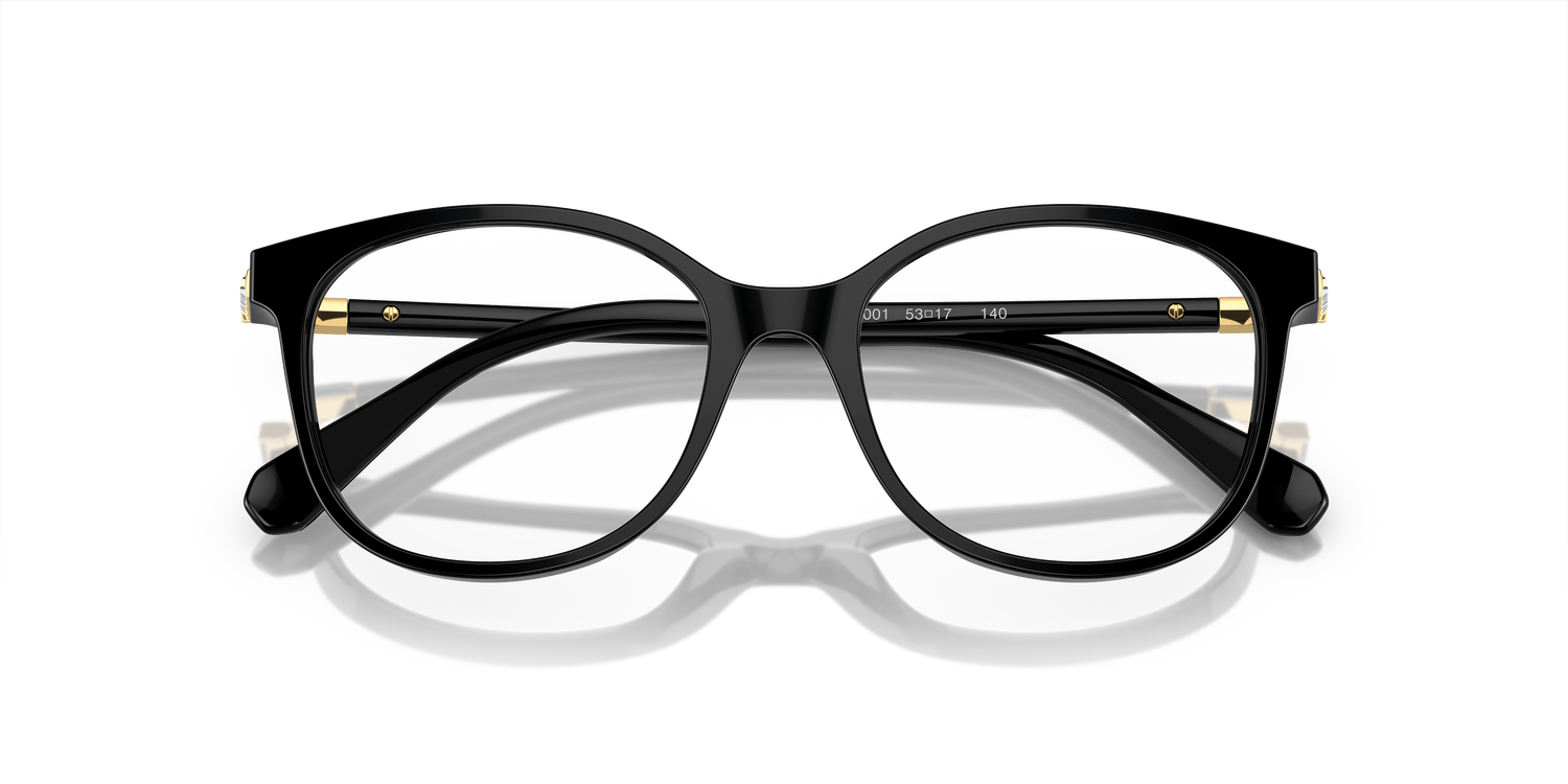 SWAROVSKI SK2002 1001 53