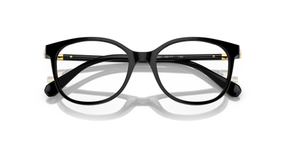 SWAROVSKI SK2002 1001 53