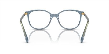 SWAROVSKI SK2002 1035 53