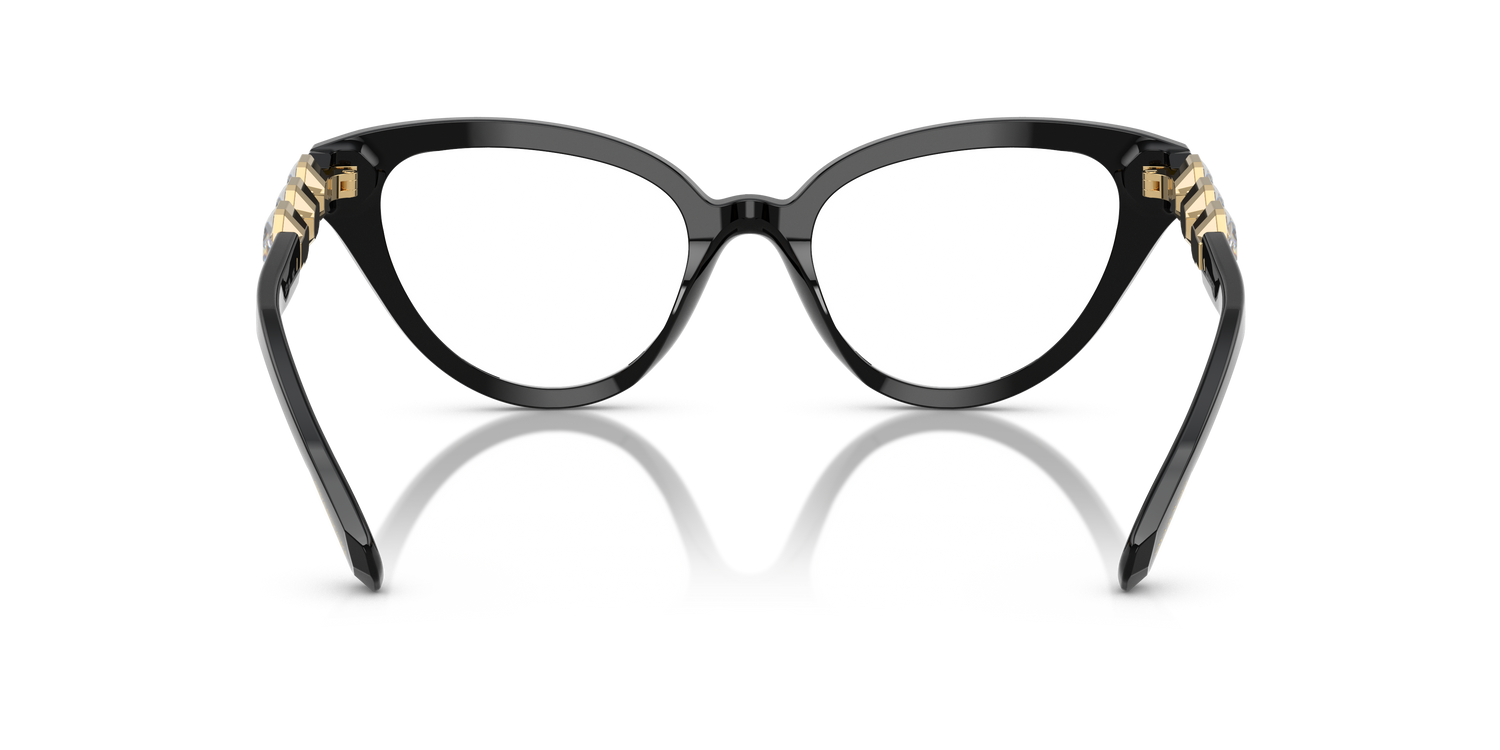 SWAROVSKI SK2028 1001 51